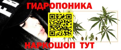 спиды Севастополь