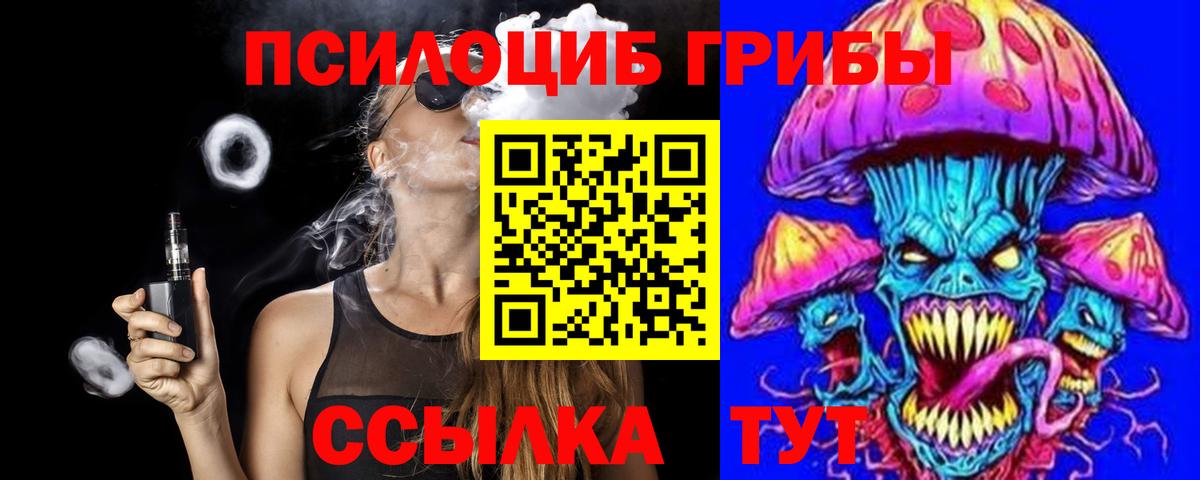 Псилоцибиновые грибы мицелий Карасук