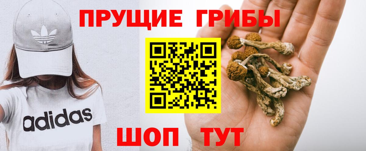 Псилоцибиновые грибы MAGIC MUSHROOMS  Вход с VPN  Карасук  Псилоцибиновые грибы ЛСД 